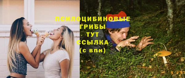 мдпв Заволжье