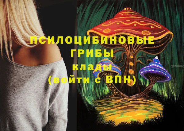 метадон Михайловка